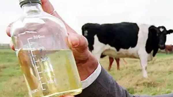 बिना वजह किसी को गिरफ्तार नहीं कर सकती पुलिस- भाजपा