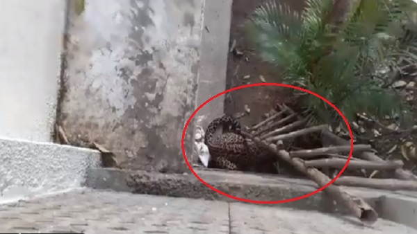 लोगों को घर के अंदर रहने के लिए कहा गया