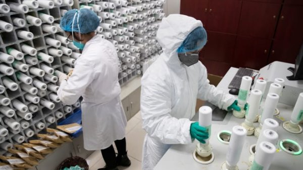 कोरोना की दवाई के पोस्टर से हड़कंप