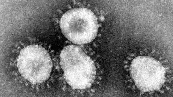 Coronavirus