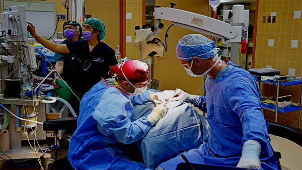 हवाईअड्डों पर 33 हजार व बंदरगाहों पर 2780 की स्क्रीनिंग