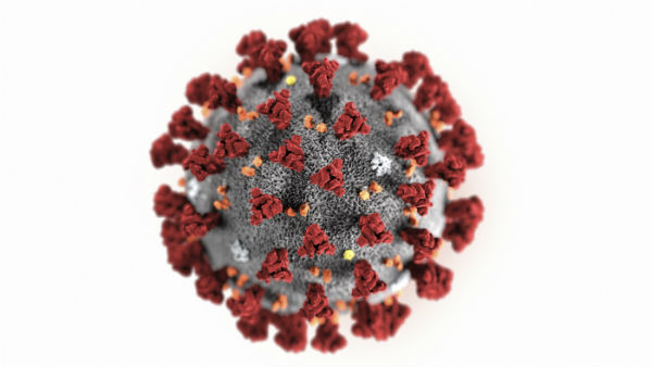 क्‍या है व्‍हाट्स एप पर आने वाले मैसेज 