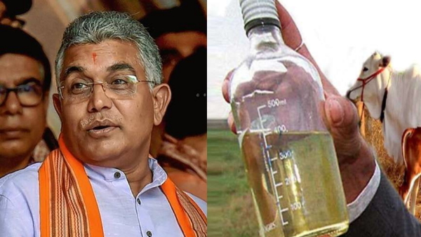 गोमूत्र पीने से कोई नुकसान नहीं: दिलीप घोष