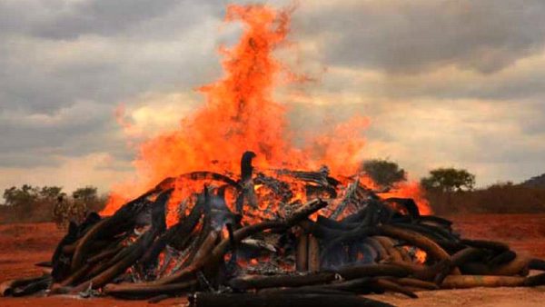 सेमेटिक-सम्प्रदायों को छोड़कर पूरे विश्व में शवों को जलाने की प्रथा है