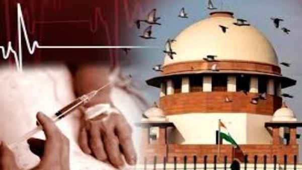 भारत में इच्‍छा मृत्यु को लेकर क्या है नियम 