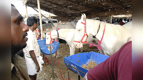 10 दिनों तक बुखार रहने के लक्षण