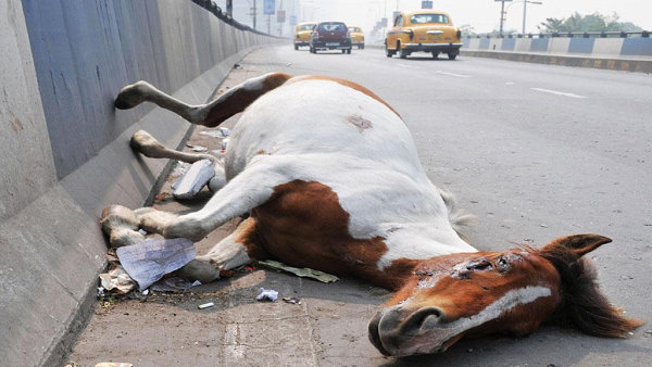 कोरोना के मुकाबले इस​लिए बताया गया खतरनाक