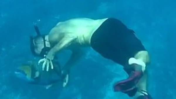 मछलियां काफी गुस्से में थीं