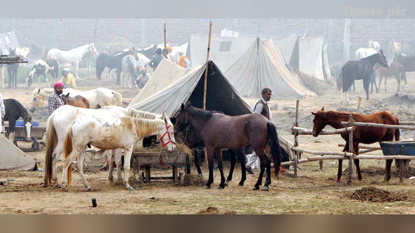 क्षेत्र में अलर्ट जारी