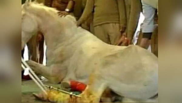 लगातार हो रही है सैंपलिंग