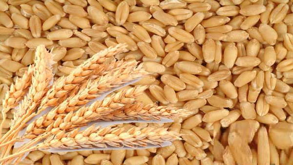 फसल बिकवाने में भी नहीं आने दी जाएगी कोई अड़चन