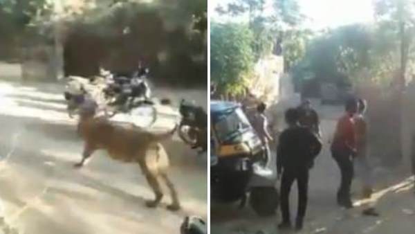 80 किमी प्रति घंटे की रफ्तार 
