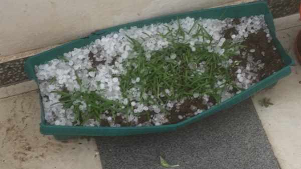 Hailstorm in Delhi videos of untimely rain spells on social media