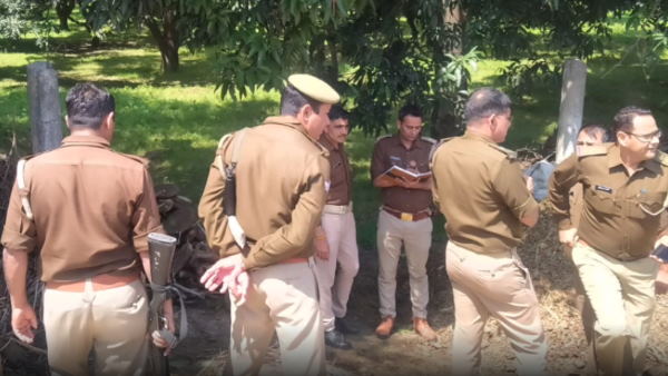 uttar pradesh meerut elder brother did murder of younger brother uttar pradesh meerut elder brother did murder of younger brother