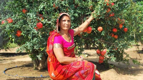 9. संतोष देवी, किसान, सीकर