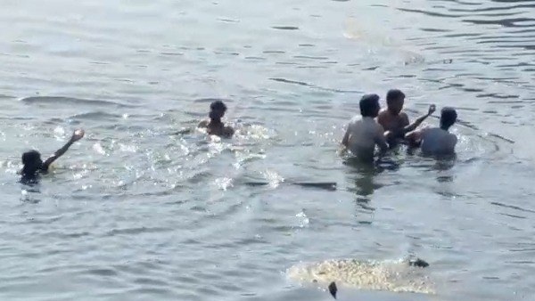 घरों तक पहुंच जाते हैं मगरमच्छ