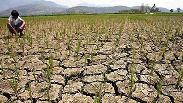 जून-जुलाई में कम बारिश जून-जुलाई में कम बारिश