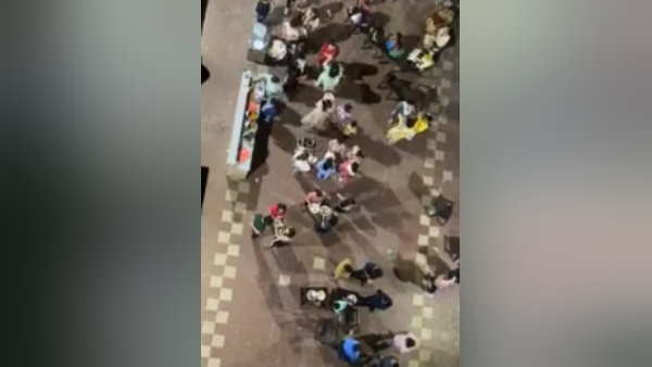 वायरल वीडियो निकला सच