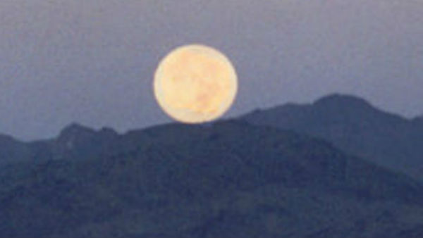 पर्यावरण पर असर