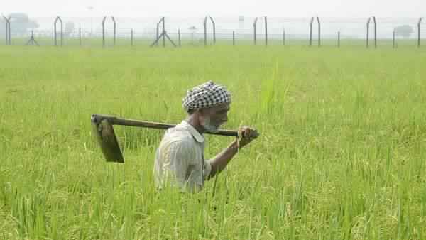 खेती को ना मिली मदद तो बर्बाद होसकती है ग्रामीण अर्थव्यवस्था