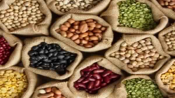 खेती को ना मिली मदद तो बर्बाद होसकती है ग्रामीण अर्थव्यवस्था