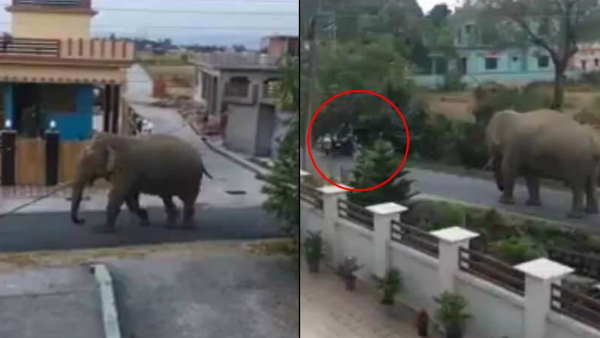 लोग बनाते रहे वीडियो