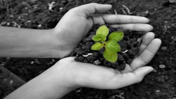 EARTH DAY 2020 : धरती माँ की सुनो पुकार बंद करो ये अत्याचार