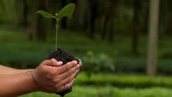 EARTH DAY 2020 : धरती माँ की सुनो पुकार बंद करो ये अत्याचार