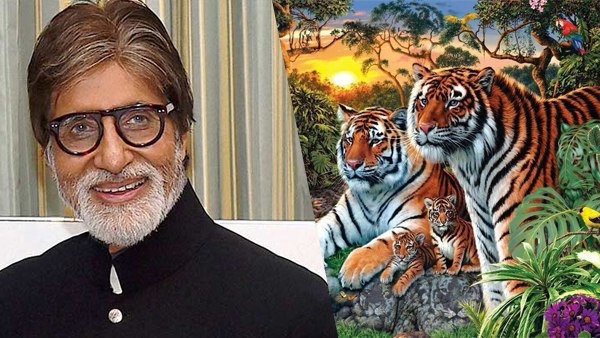 अमिताभ बच्चन ने कहा-तस्वीर में 11 टाइगर 