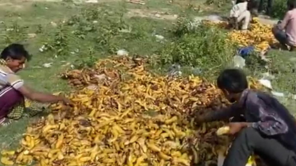 इन प्रवासी मजदूरों को स्कूलों में शिफ्ट किया गया