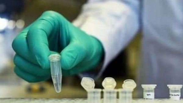 बीसीजी वैक्सीन के कोरोना से बचाने के कोई सबूत नहीं-WHO बीसीजी वैक्सीन के कोरोना से बचाने के कोई सबूत नहीं-WHO