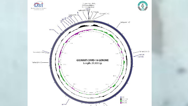 गुजरात में कोरोना वायरस के 871 केस