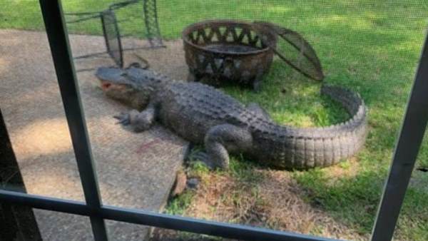 सामान को नुकसान पहुंचाने की कोशिश की