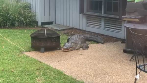 क्या बोल रहे हैं लोग?