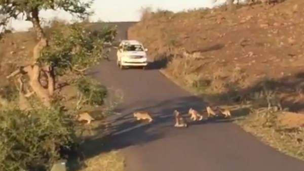 सड़क पर एक कार खड़ी है सड़क पर एक कार खड़ी है