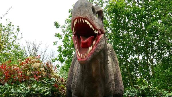 बड़ी मछलियों से भरी थी ये जगह