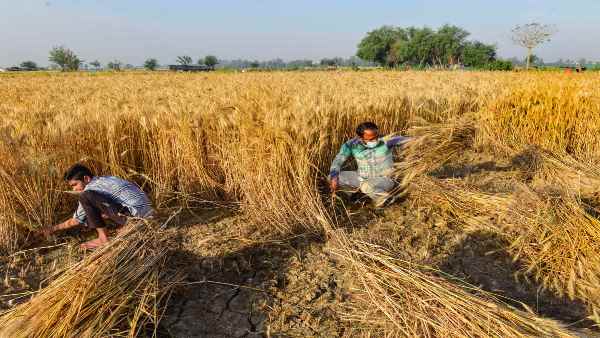 मैनपावर को लेकर हो सकती है दिक्कत-अर्थशास्त्री