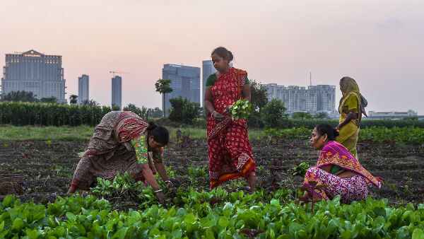 लॉकडाउन ने तोड़ी किसानों की कमर