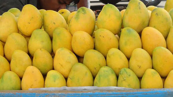 वीडियो कहां का है और कब बनाया गया?