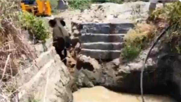 लोगों को पसंद आ रहा है वीडियो