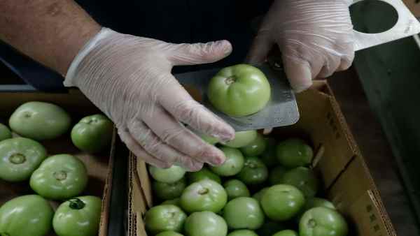 कृषि कार्यों को मिली हरी झंडी