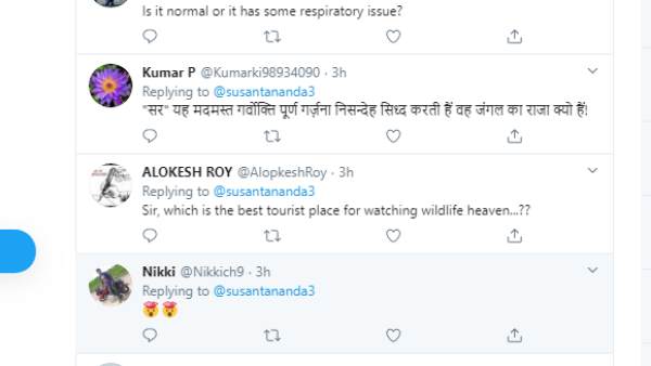 लोगों ने शेर को बताया जंगल का राजा