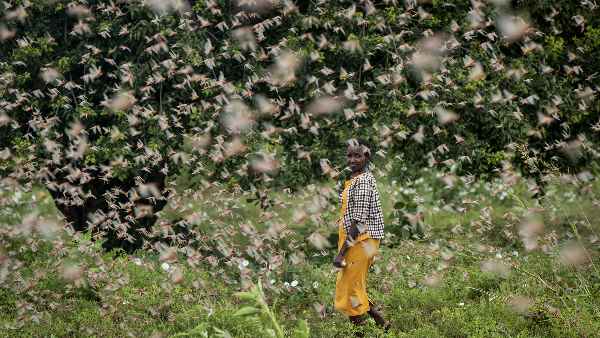हाल ही में पंजाब और हरियाणा में हुआ था हमला हाल ही में पंजाब और हरियाणा में हुआ था हमला