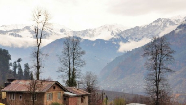 प्रकृति को हुआ लॉकडाउन का सबसे ज्यादा फायदा