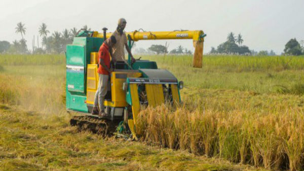धान की खेती नहीं करने पर मिलेगा 2000