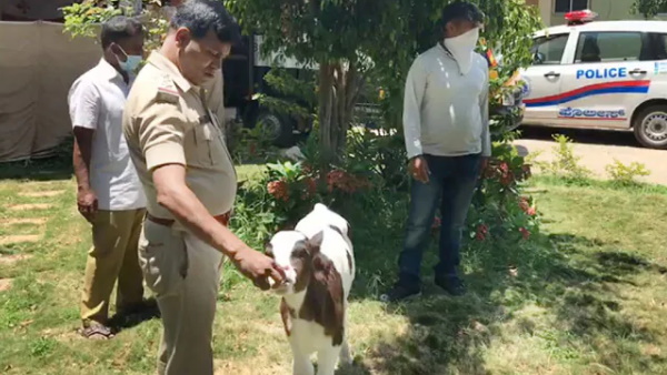 30 मार्च को रेस्क्यू किया था भीम को 