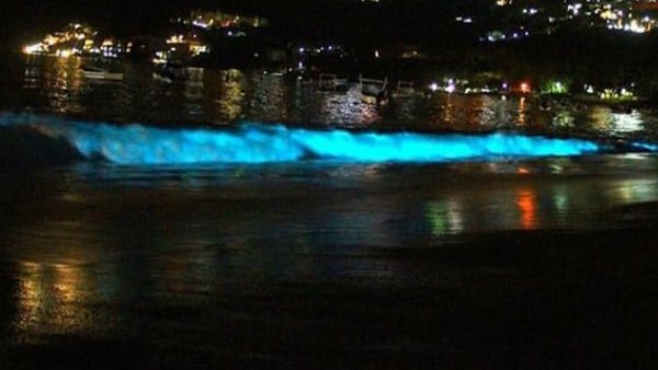 क्या है इस रोशनी के पीछे की वजह क्या है इस रोशनी के पीछे की वजह