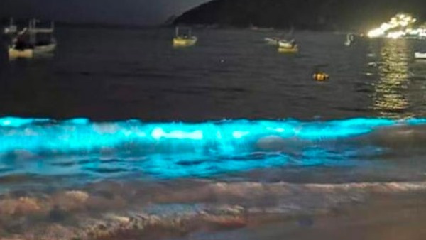 समुद्र किनारे टहल रहे लोगों को दिखा नजारा समुद्र किनारे टहल रहे लोगों को दिखा नजारा