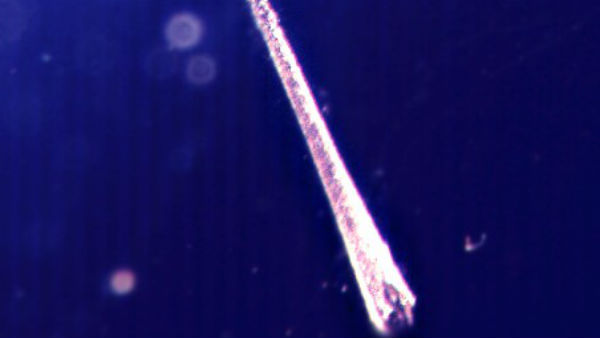 छोटा एस्टेरॉयड भी आ रहा है छोटा एस्टेरॉयड भी आ रहा है