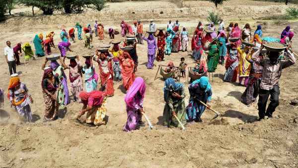 लॉकडाउन के कारण कटाई के लिए गांव नहीं पहुंच सके मजदूर 